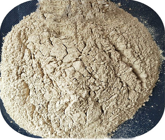 �߉�늴��X�\��