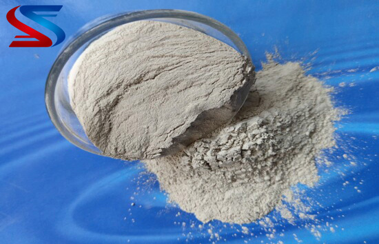 ���X�\������|���ۏS�҈D