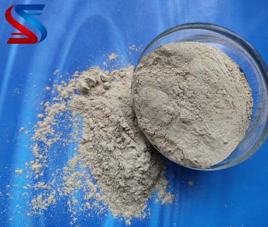 �������X�\������